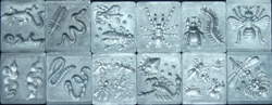 All 6 Mold Packs